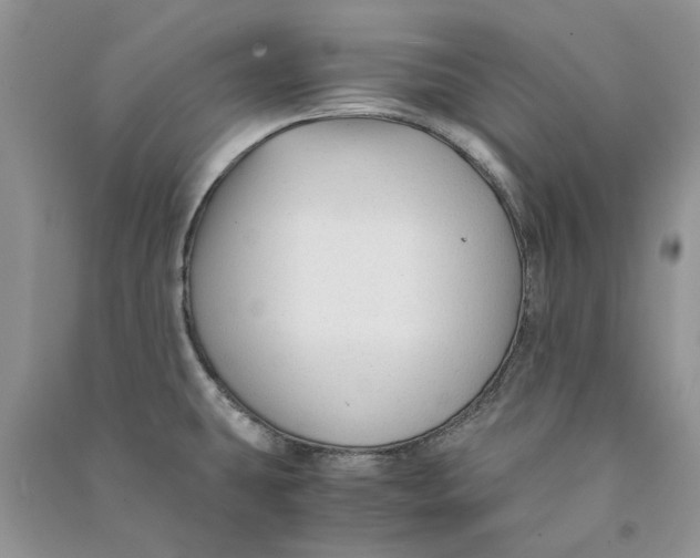 X0000090761431200708172038