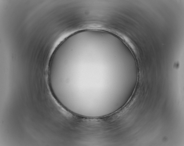 X0000090761432200708172038