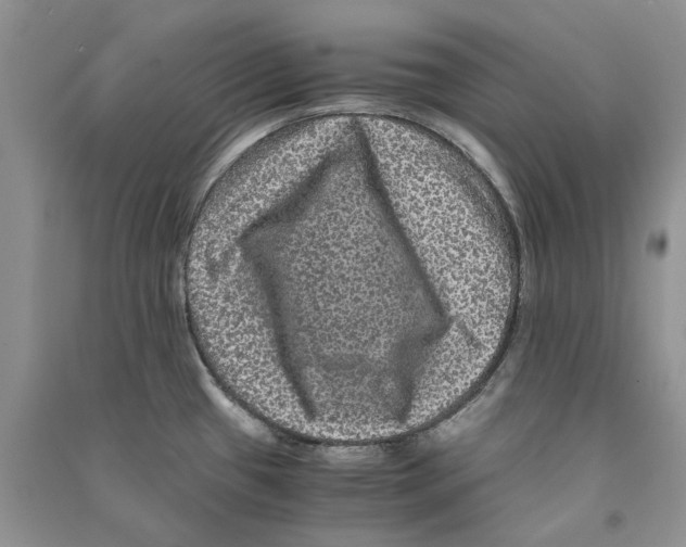 X0000090761433200708172038