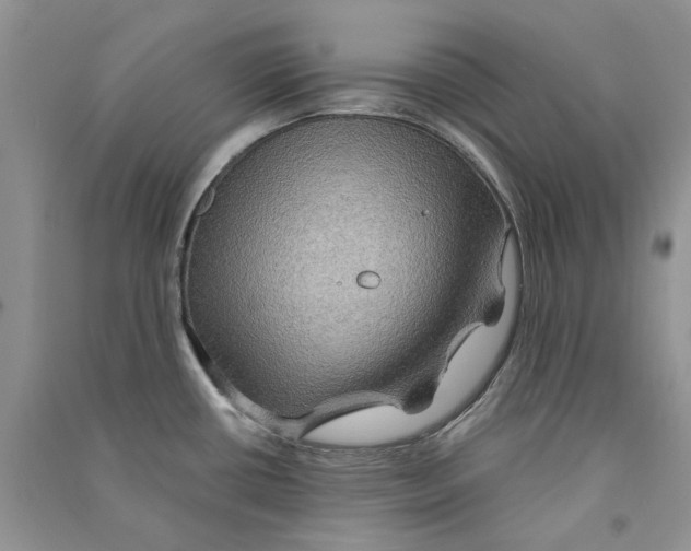 X0000090761434200708172038