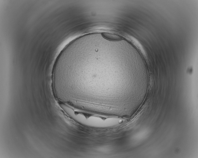 X0000090761435200708172038