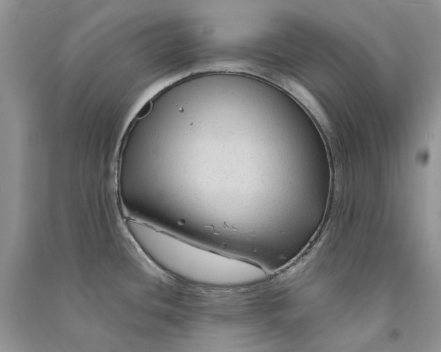 X0000090761436200708172038