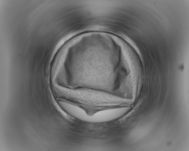 X0000090761437200708172038