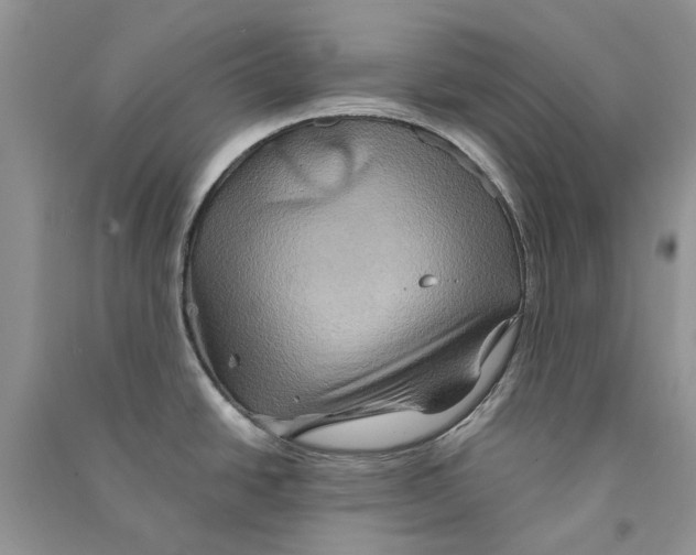 X0000090761438200708172038