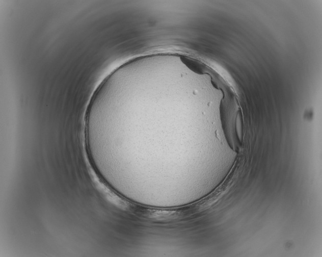 X0000090761439200708172038