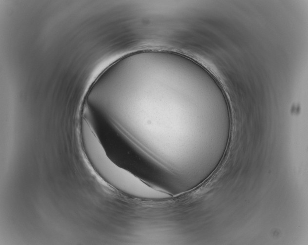 X0000090761440200708172038