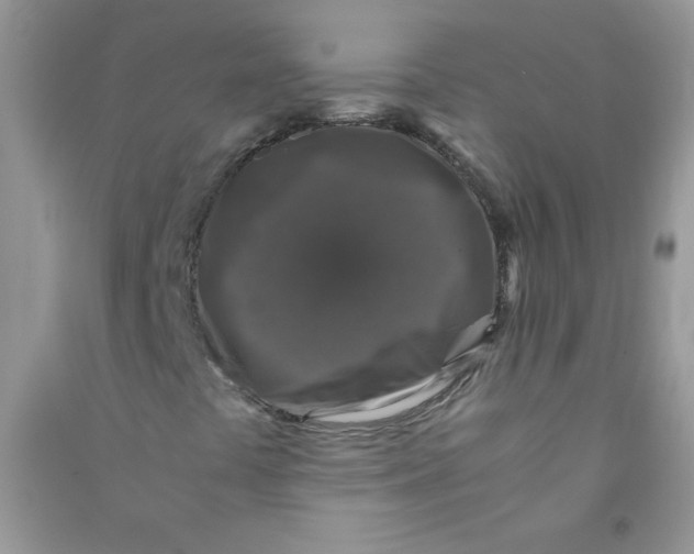 X0000090761441200708172038