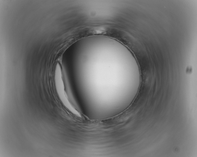 X0000090761442200708172038