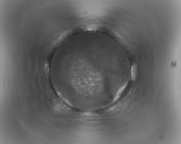 X0000090761443200708172038