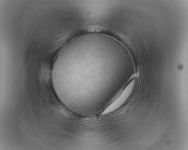 X0000090761444200708172038