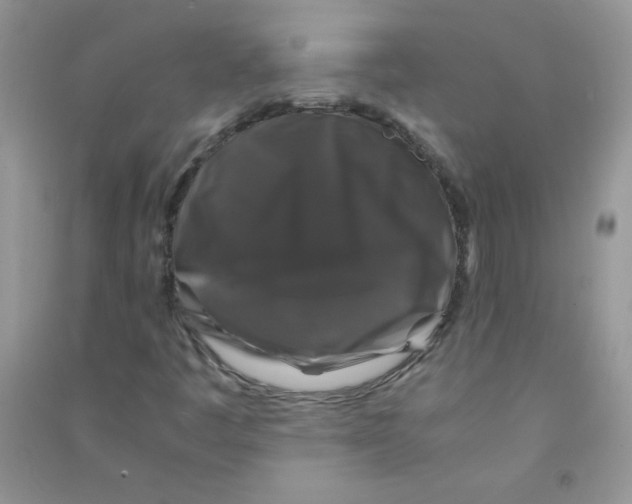 X0000090761445200708172038