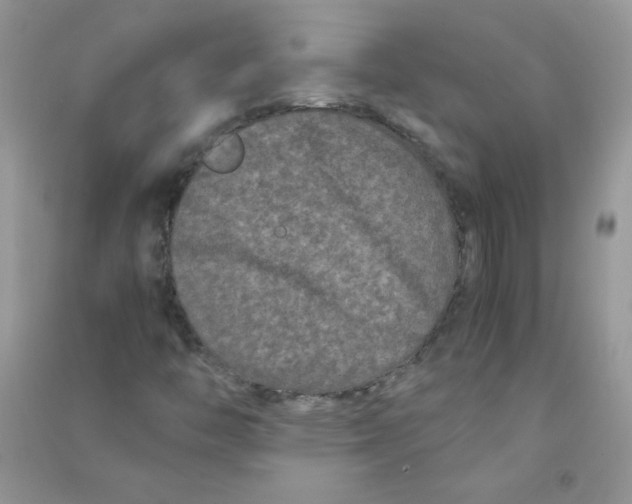 X0000090761446200708172038