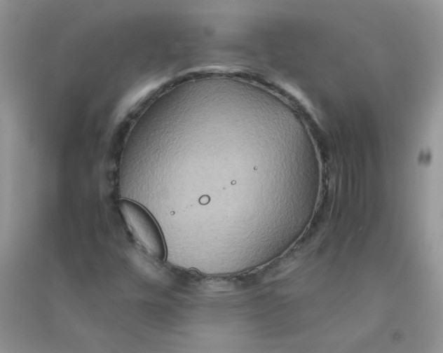 X0000090761448200708172038