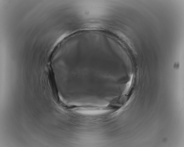 X0000090761449200708172038