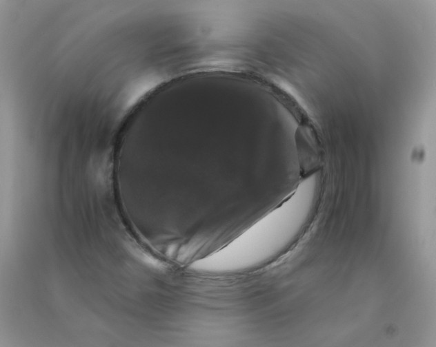 X0000090761450200708172038