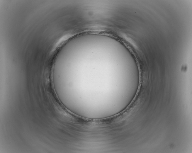 X0000090761451200708172038