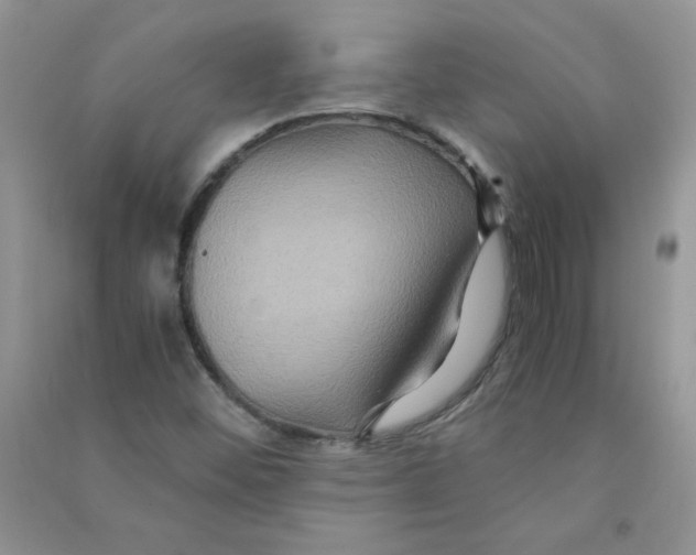 X0000090761452200708172038