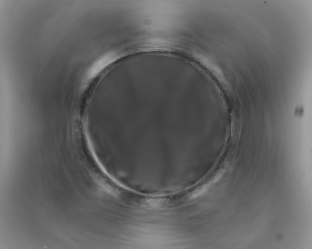 X0000090761453200708172038