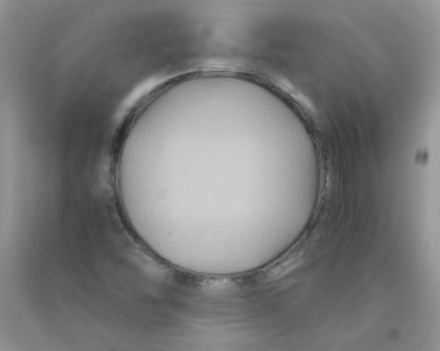 X0000090761454200708172038