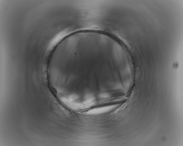 X0000090761455200708172038