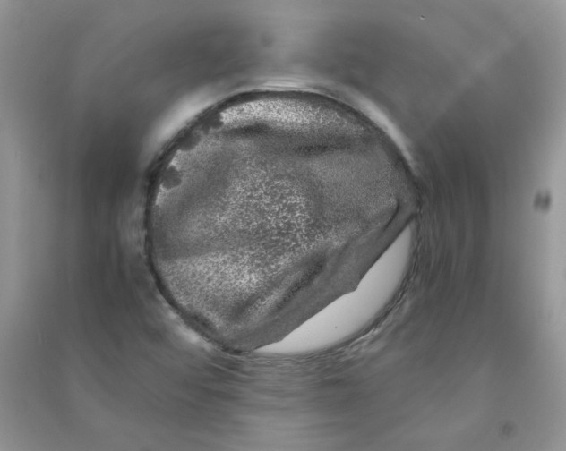 X0000090761456200708172038