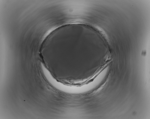 X0000090761457200708172038