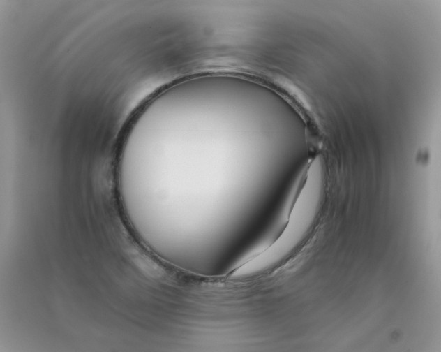 X0000090761458200708172038