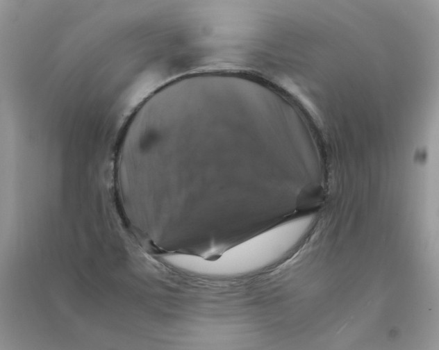 X0000090761459200708172038