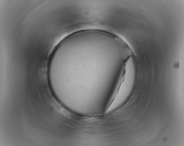 X0000090761460200708172038