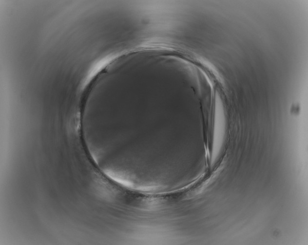 X0000090761461200708172038