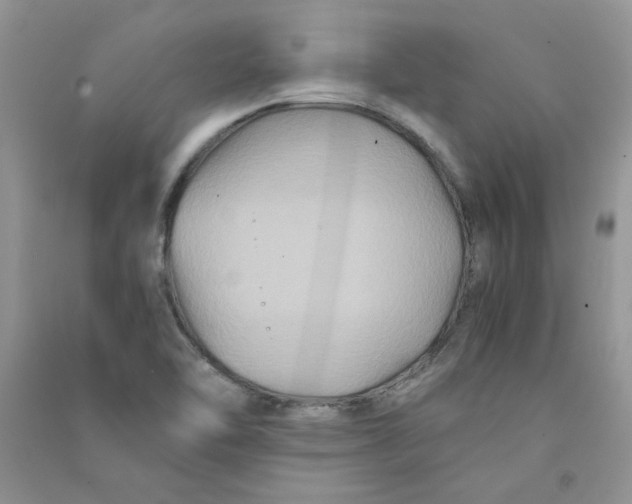 X0000090761462200708172038