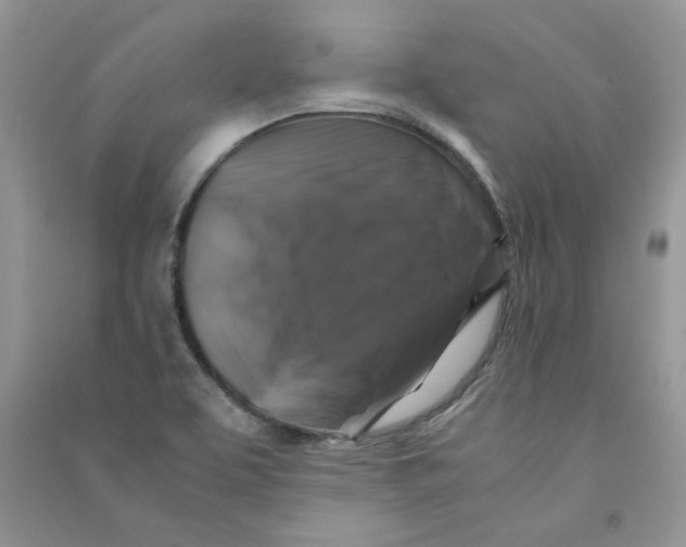 X0000090761463200708172038