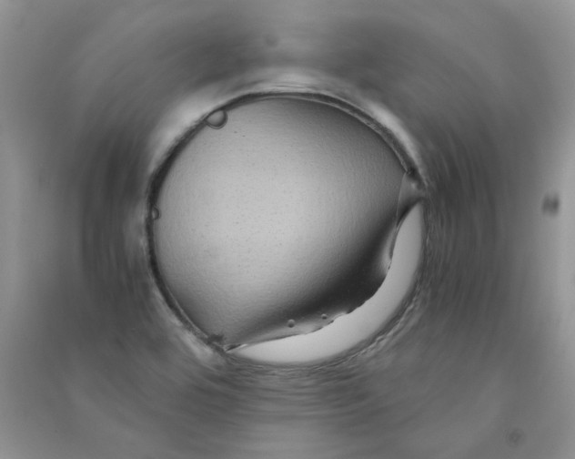 X0000090761464200708172038