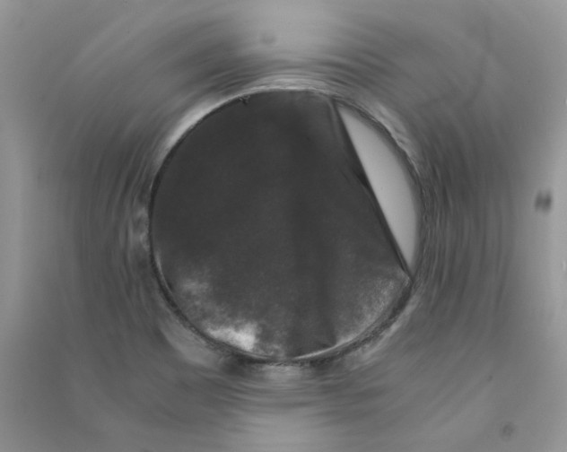 X0000090761465200708172038