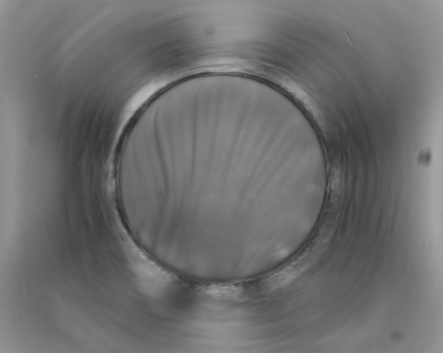 X0000090761466200708172038