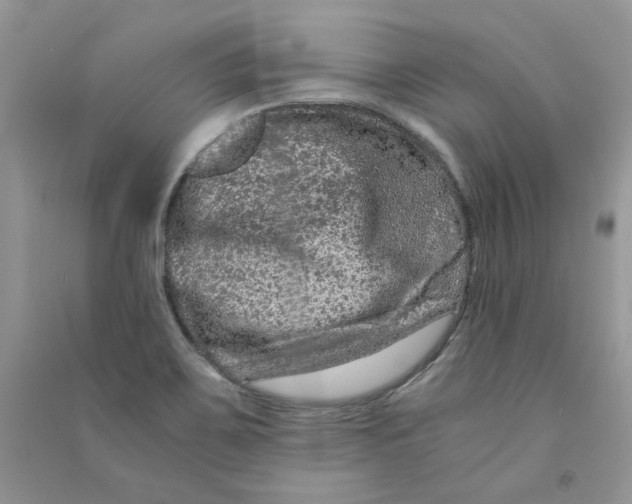 X0000090761467200708172038