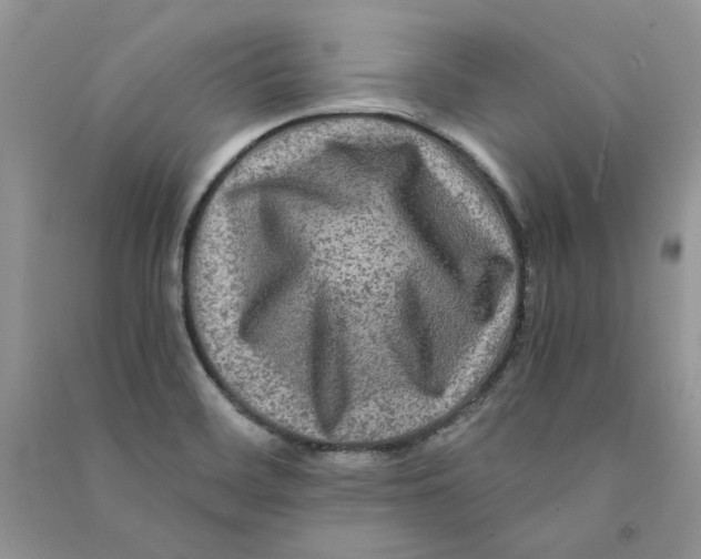 X0000090761468200708172037