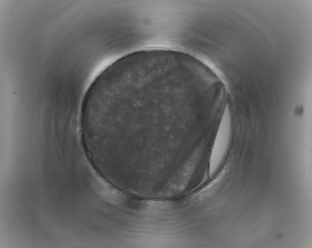 X0000090761469200708172037