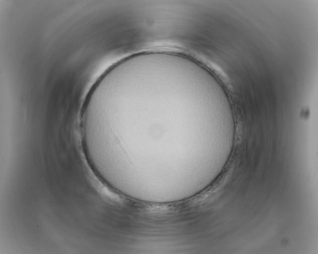 X0000090761470200708172037