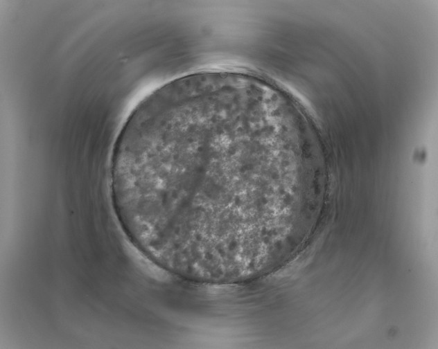 X0000090761471200708172037