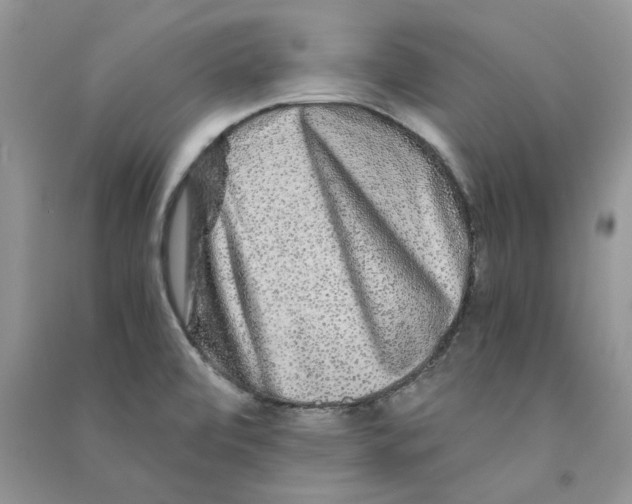 X0000090761472200708172037