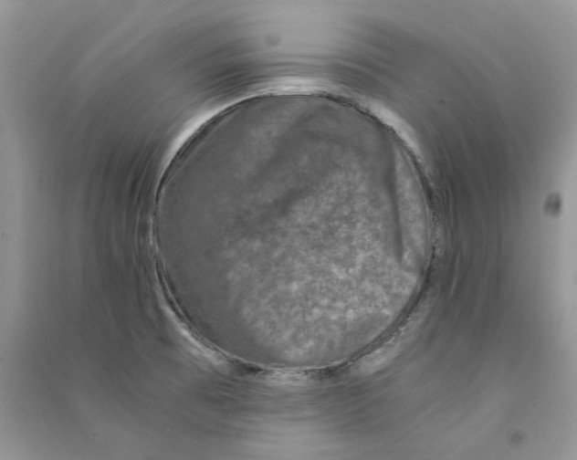 X0000090761473200708172037