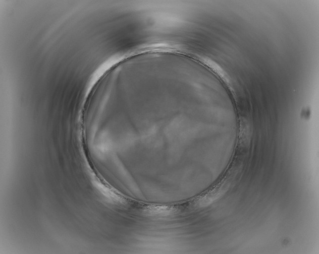 X0000090761474200708172037