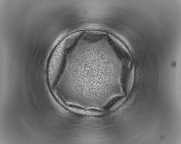 X0000090761475200708172037