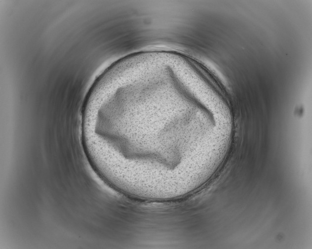 X0000090761476200708172037