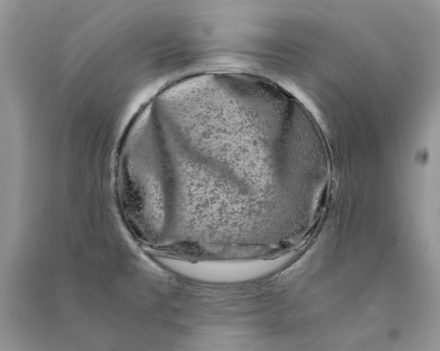 X0000090761477200708172037