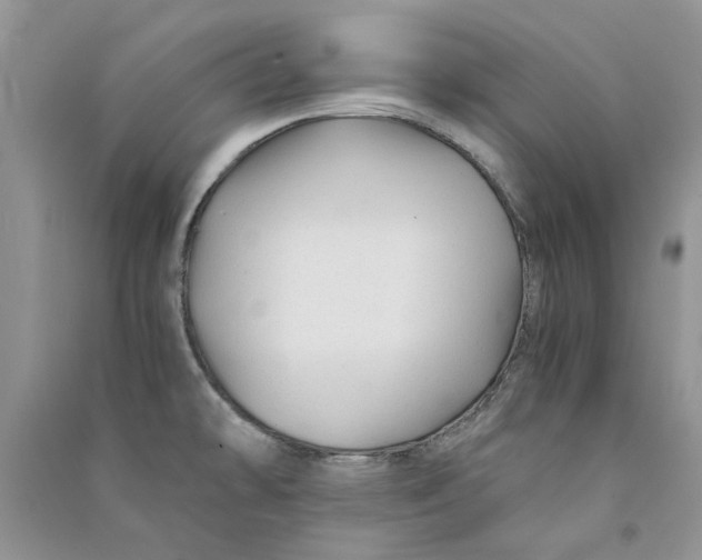 X0000090761478200708172037