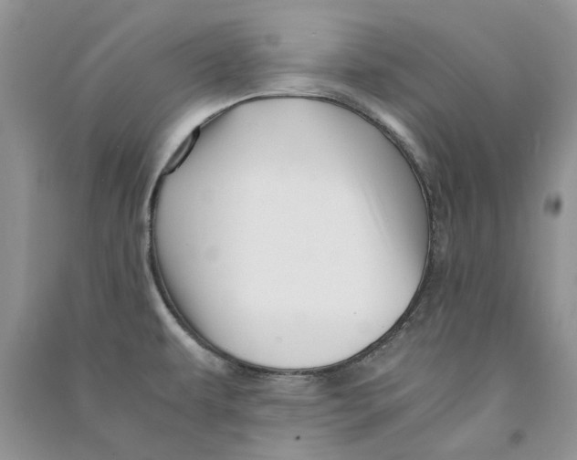 X0000090761479200708172037