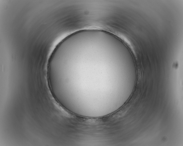 X0000090761480200708172037