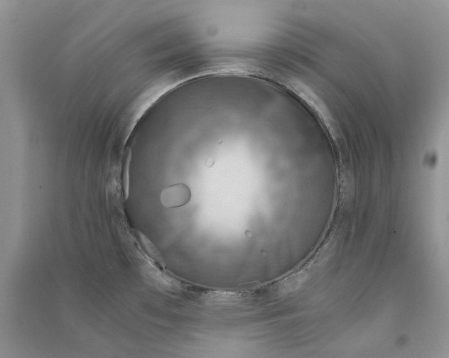 X0000090761481200708172037